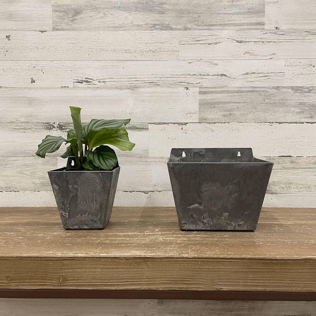 Ella Wall Pot - Grey - 5.5-inches - Hicks Nurseries
