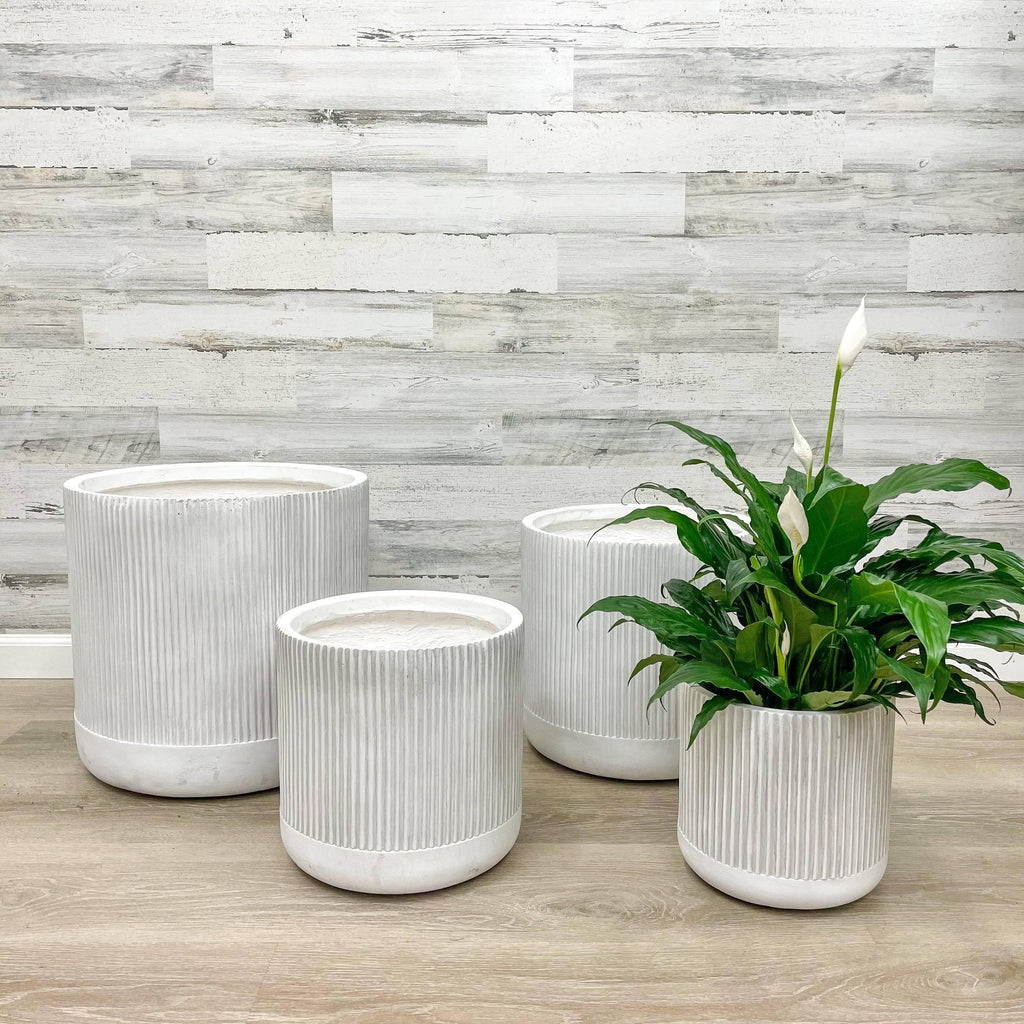 Fiberclay Ribbed Cylinder - White - 10-inch - Hicks Nurseries