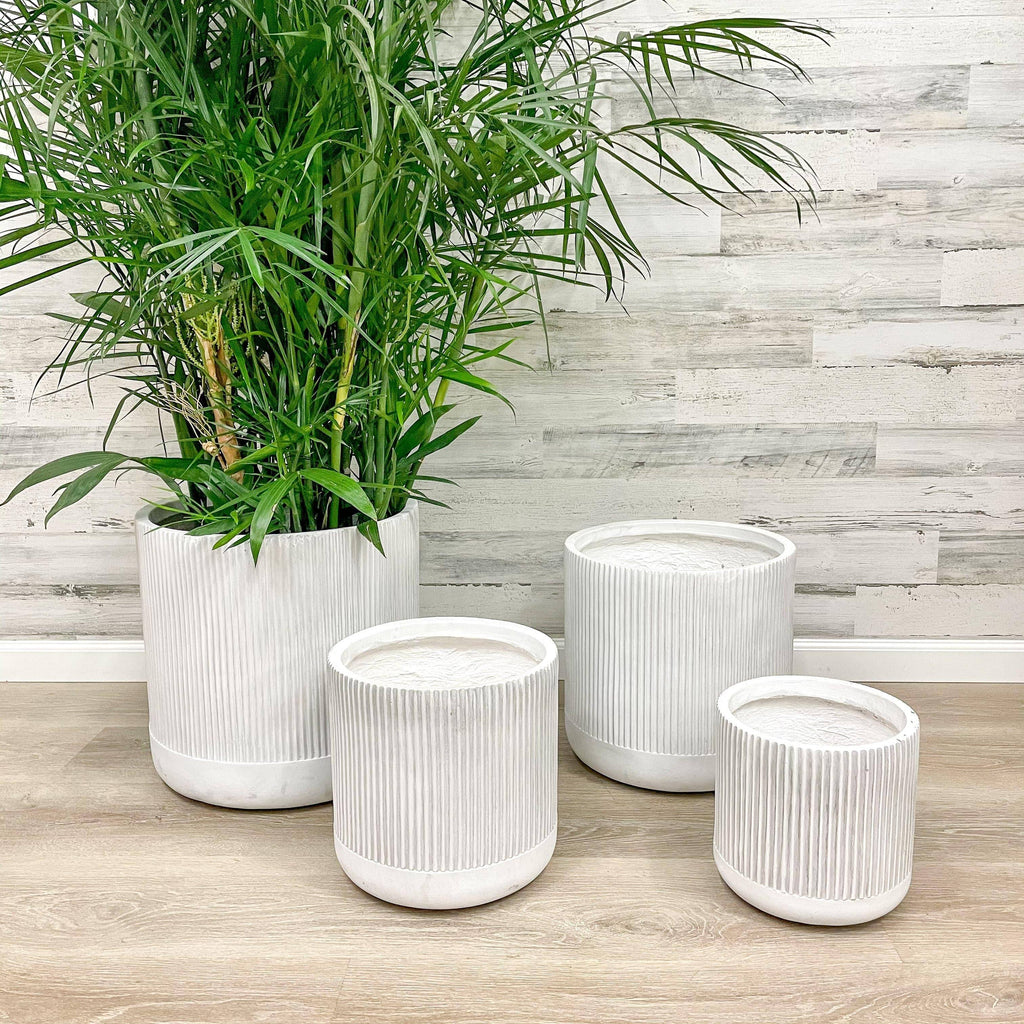Fiberclay Ribbed Cylinder - White - 17-inch - Hicks Nurseries