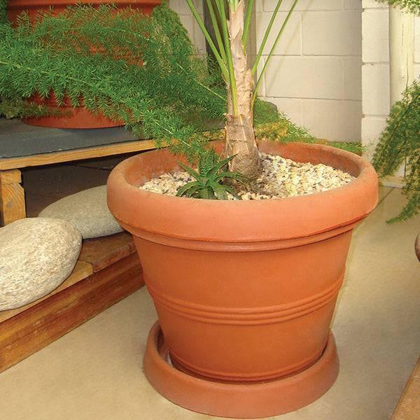 large orange plant pots Planter - Basic Rim - Terra Cotta