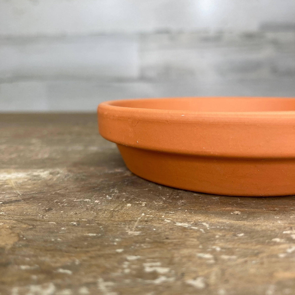 clay planter saucer Saucer - Clay
