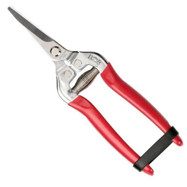 Snip and Holster - British Bloom - Hicks Nurseries
