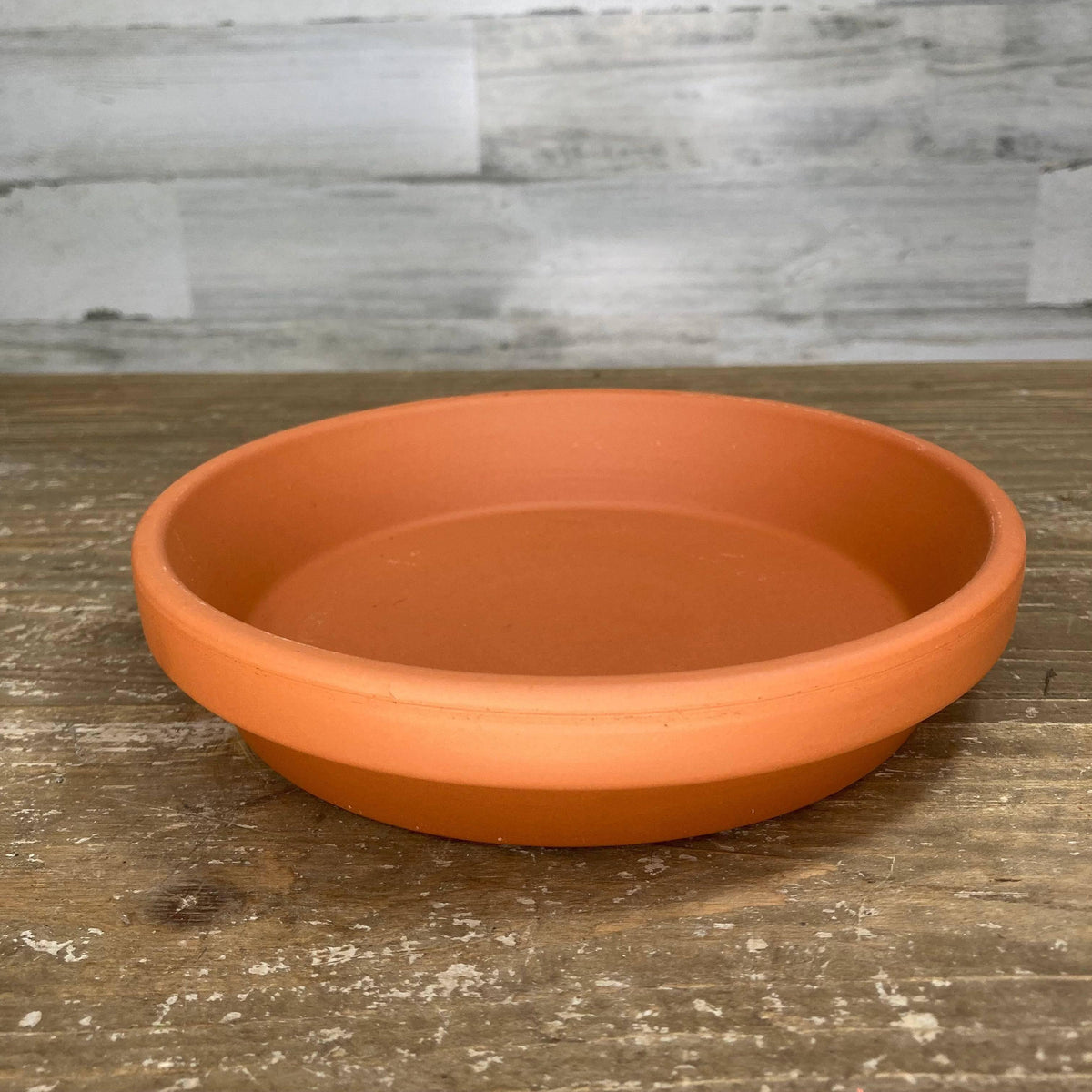 pot and saucer plant Saucer - Clay