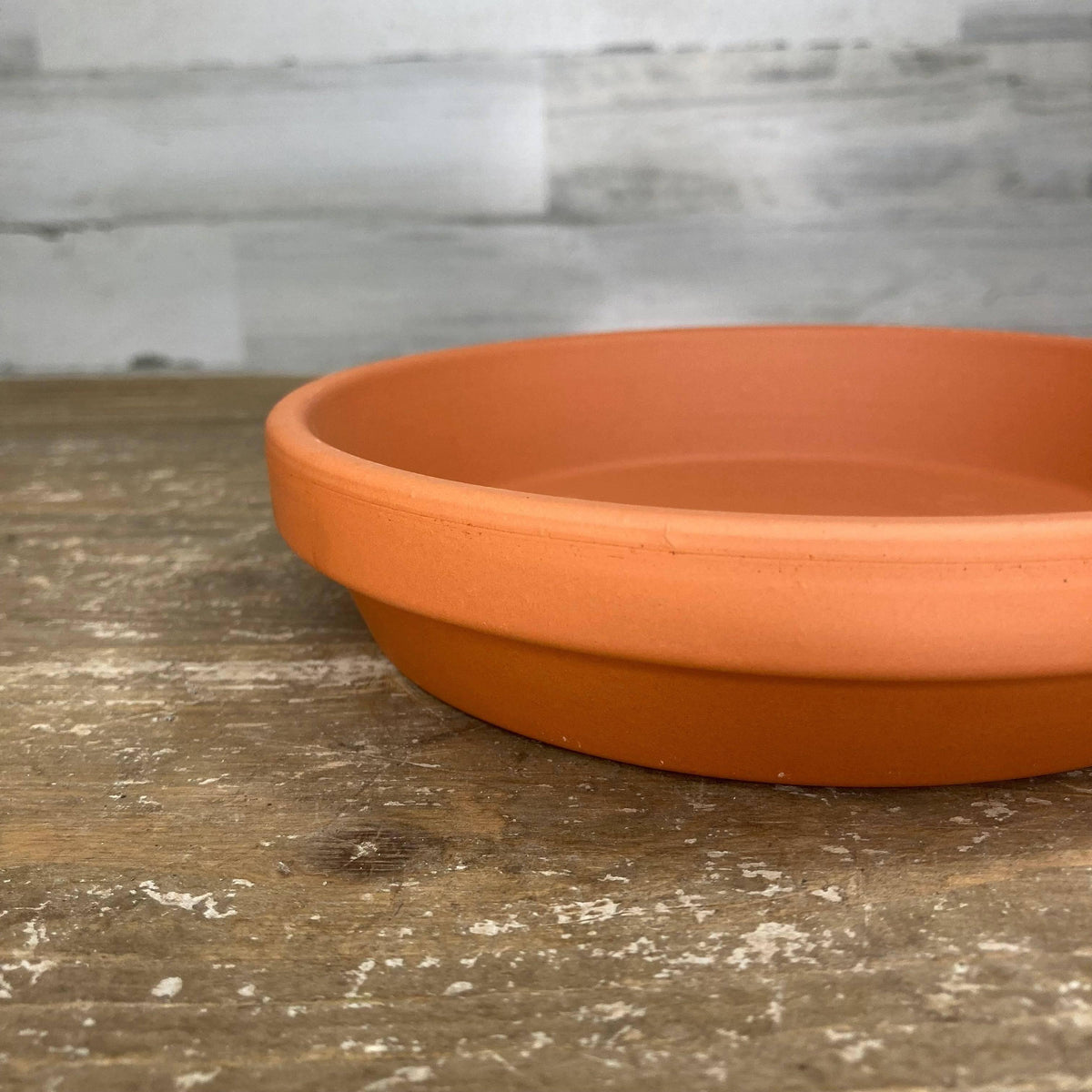 Saucer - Clay