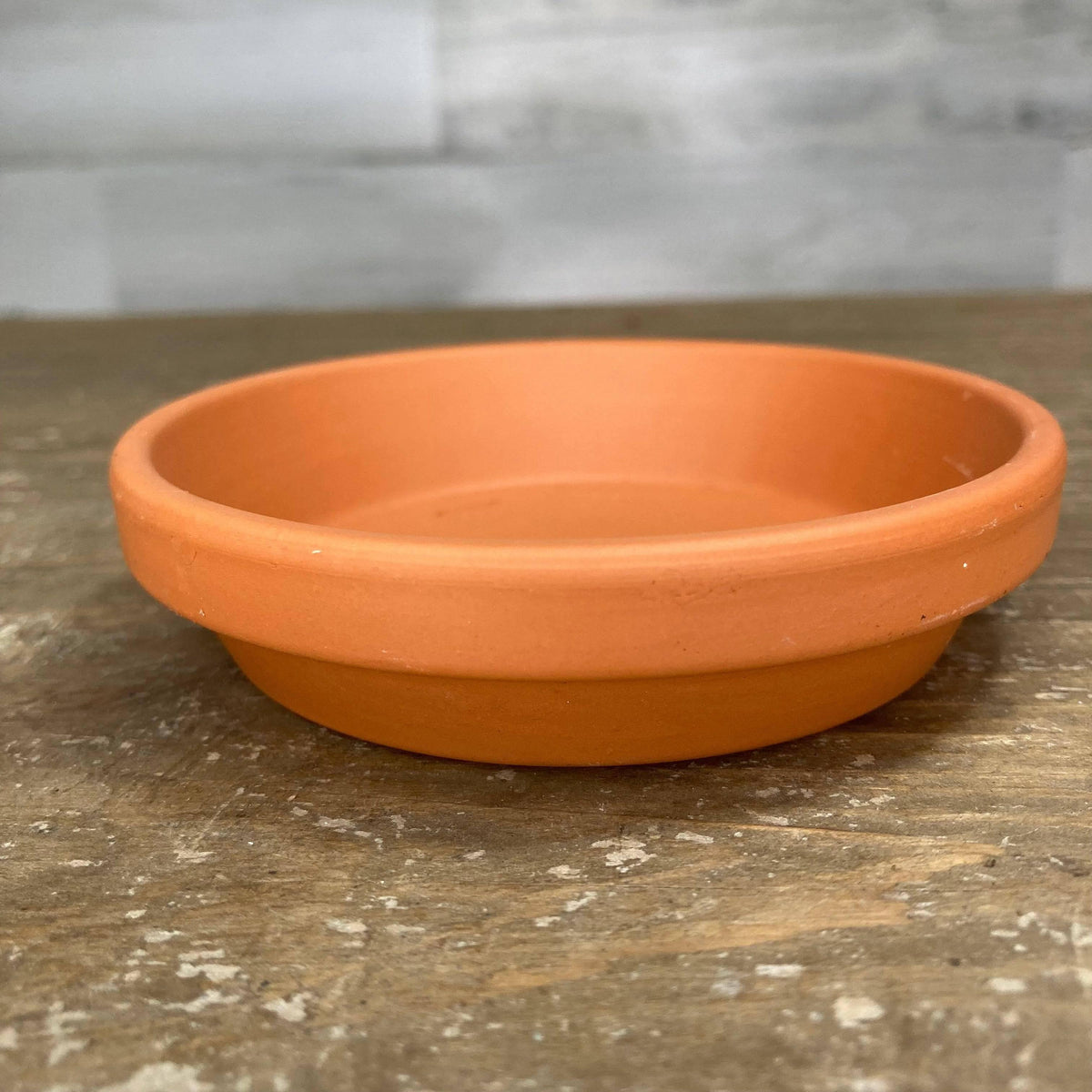 6 inch planter with saucer Saucer - Clay