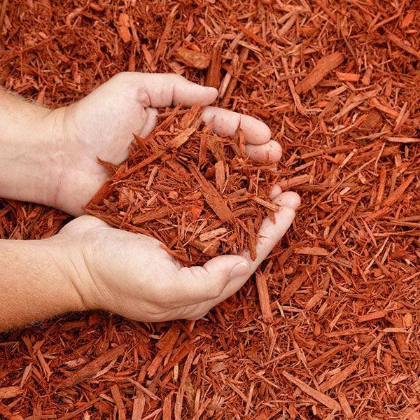 Mulch - Cedar - 2 cu. ft. - Hicks Nurseries