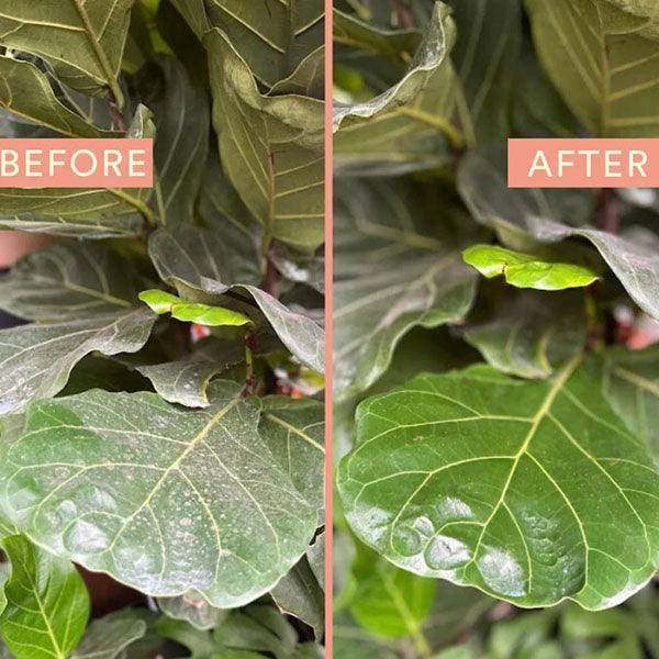 We the Wild - Protect with Neem Ready to Use - 17 oz. - Hicks Nurseries