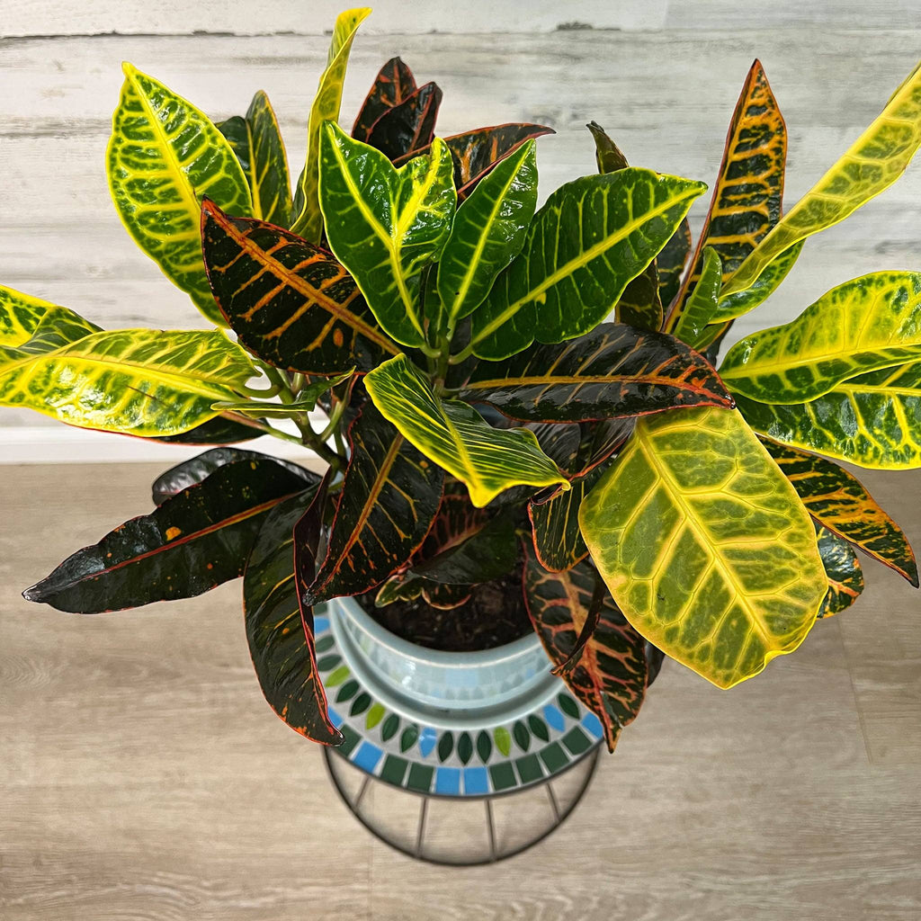 mosaic indoor plant Plant Stand – Brown Metal with Mosaic Glass Design – 19.5-inches