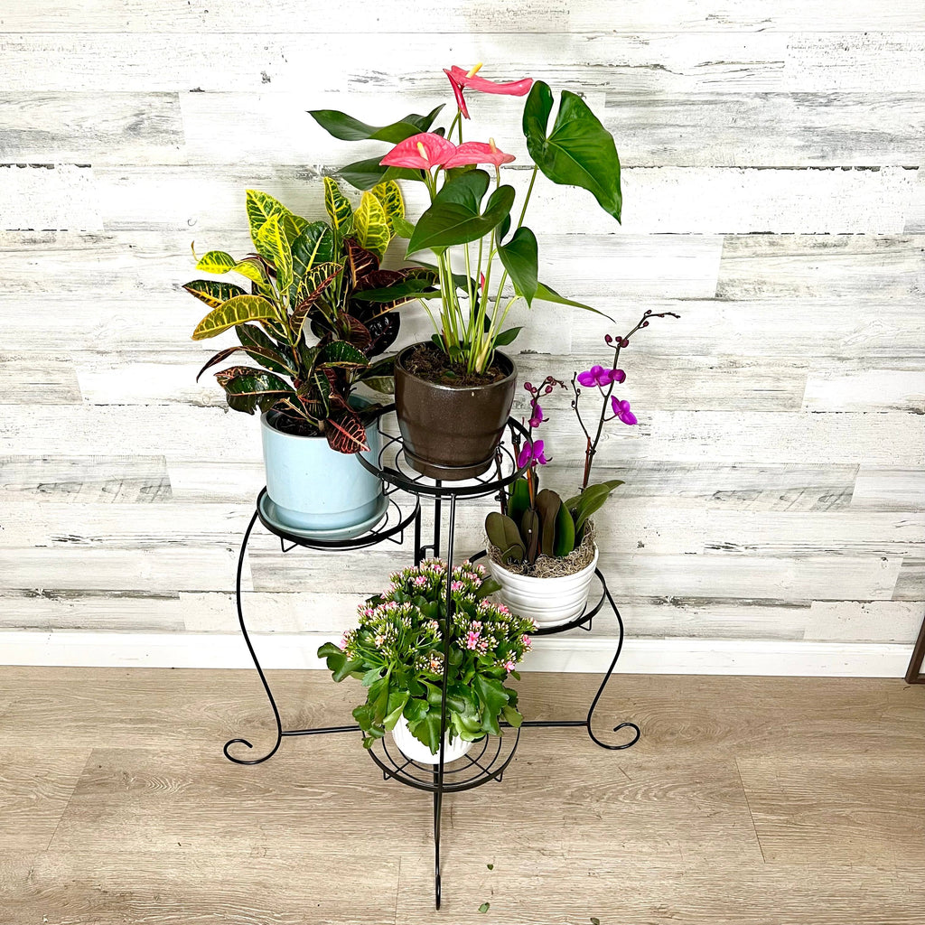 Plant Stand  Black Metal Folding  4 Tier