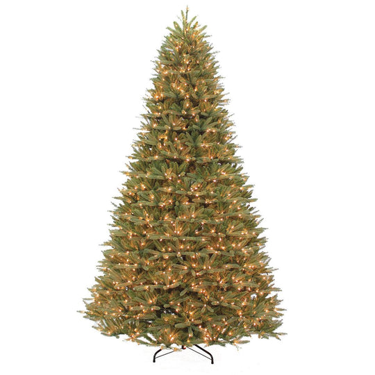 Wyoming Fir Warm White LED Lights 10 Ft.