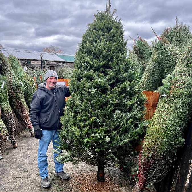 A man in a winter hat and jacket smiles outside next to a Premium Balsam Fir Real Christmas Tree (9-10 ft., OUT OF STOCK) from Available for Pick-up & Delivery, with bundled trees around him under a cloudy sky.