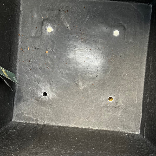 A close-up shows the inside bottom of the 22-inch Alicante Cube Planter in Matte Black, featuring four drainage holes and scattered dirt—a practical, weather-resistant design by Pick-Up & Local Delivery Only.