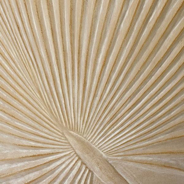 Close-up of a beige, fan-shaped palm leaf with radiating lines mirrors the Axel Planter - Sand (13-inches) by Pick-Up & Local Delivery Only—crafted from lightweight fiberclay with a drainage hole for root health.