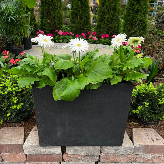 Blackburn Divider Planter - Black - 26-inches x 10-inches
