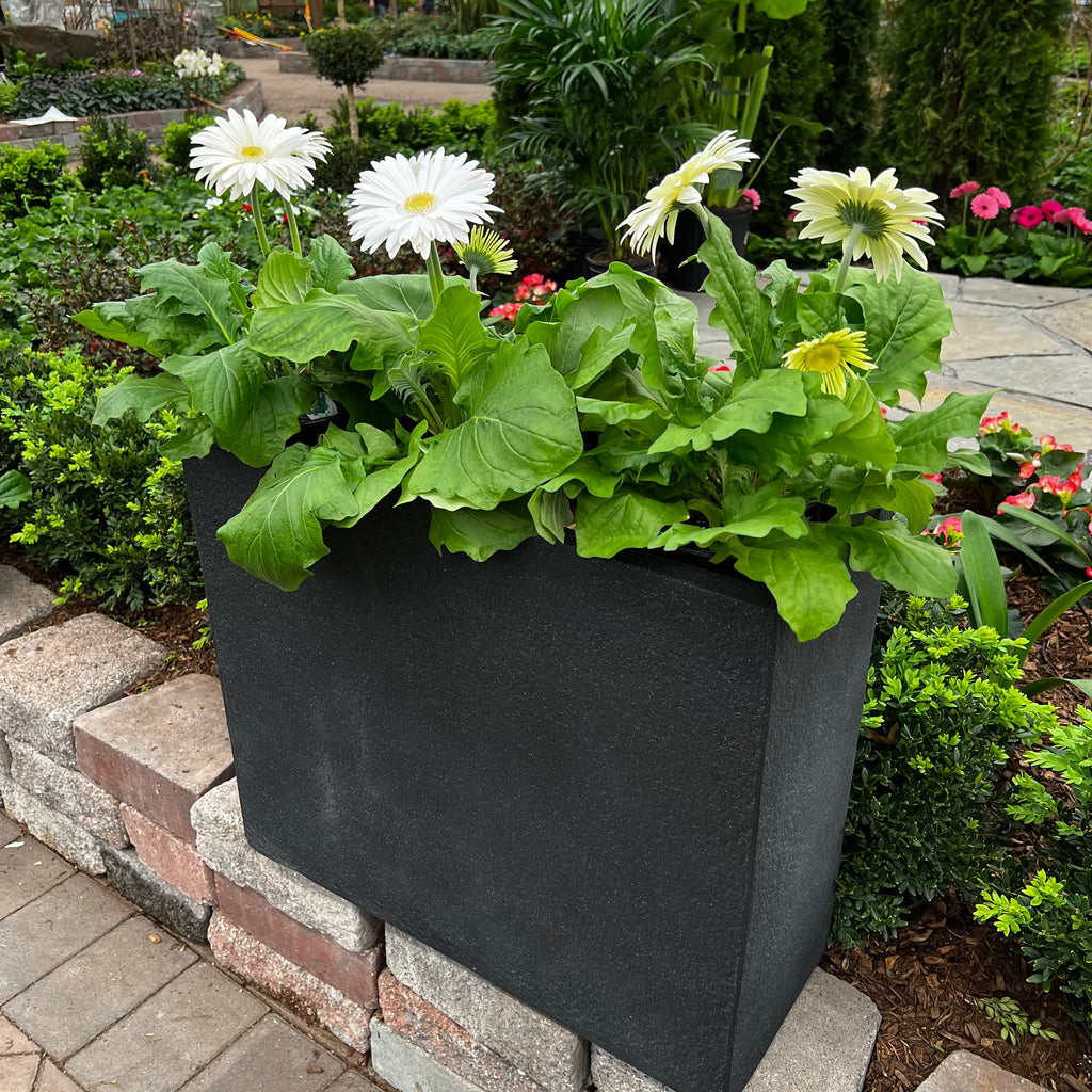 Blackburn Divider Planter - Black