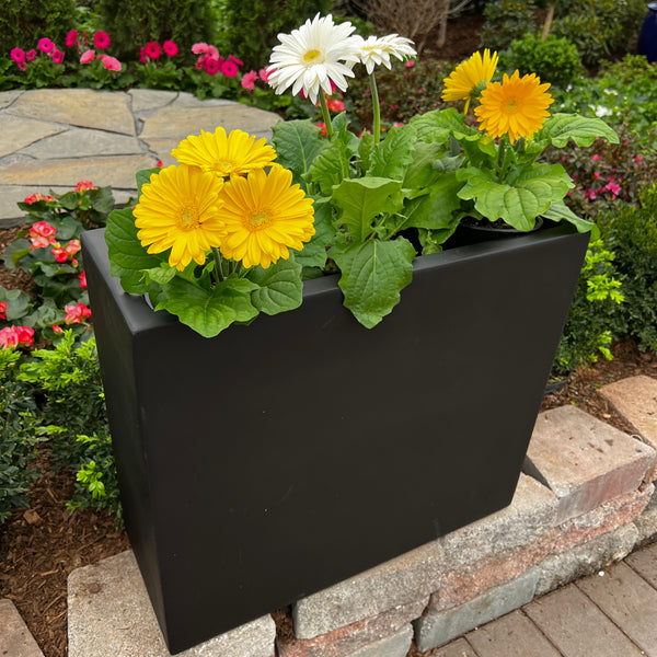 The Davenport Divider Planter in black (26x10) by Pick-Up & Local Delivery Only is filled with yellow and white daisies, sitting on a stone ledge amid blooming flowers and lush greenery in a vibrant garden.
