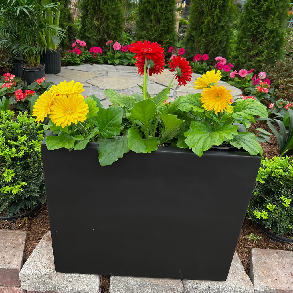 plant pot divider Davenport Divider Planter - Black