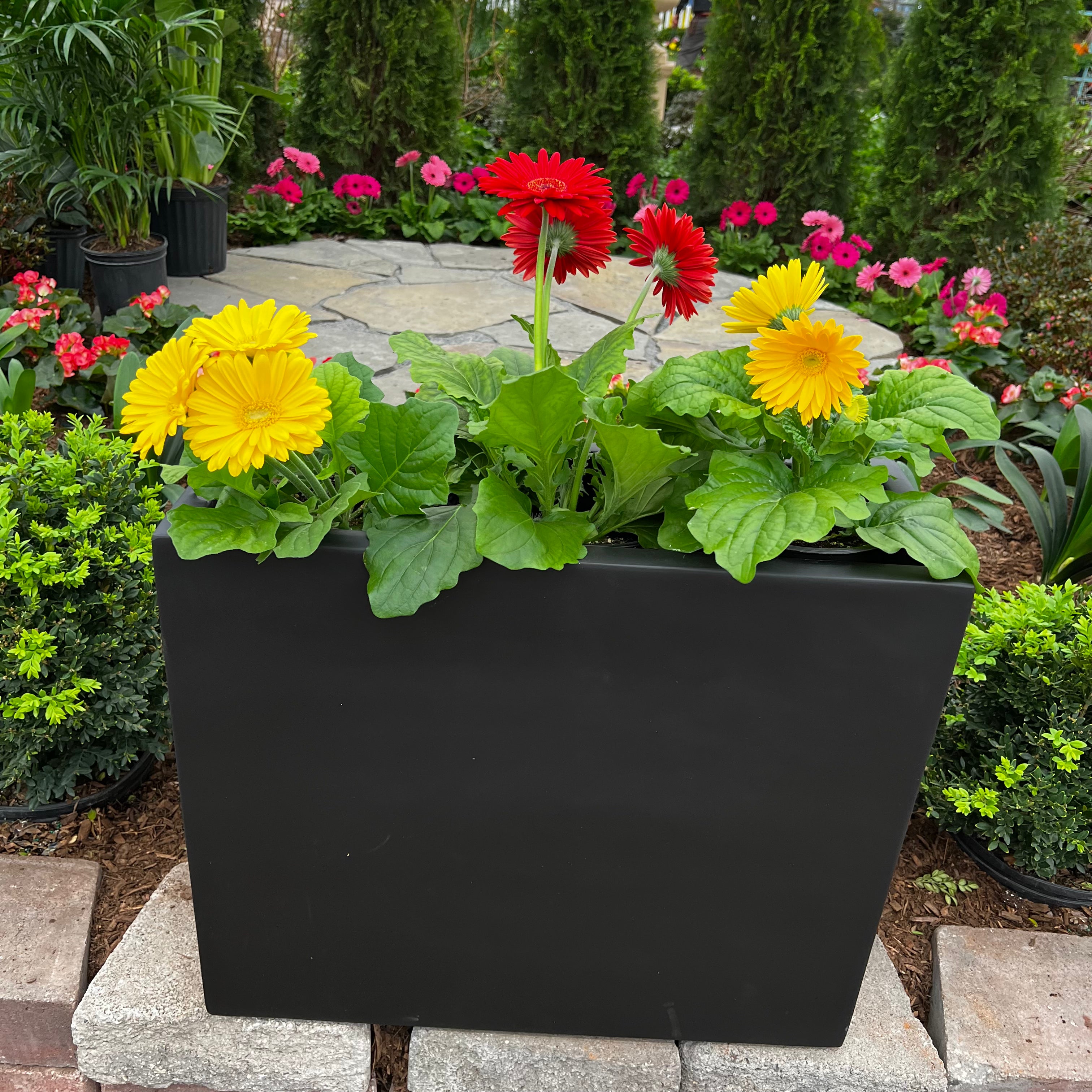 black plastic rectangular planter Davenport Divider Planter - Black