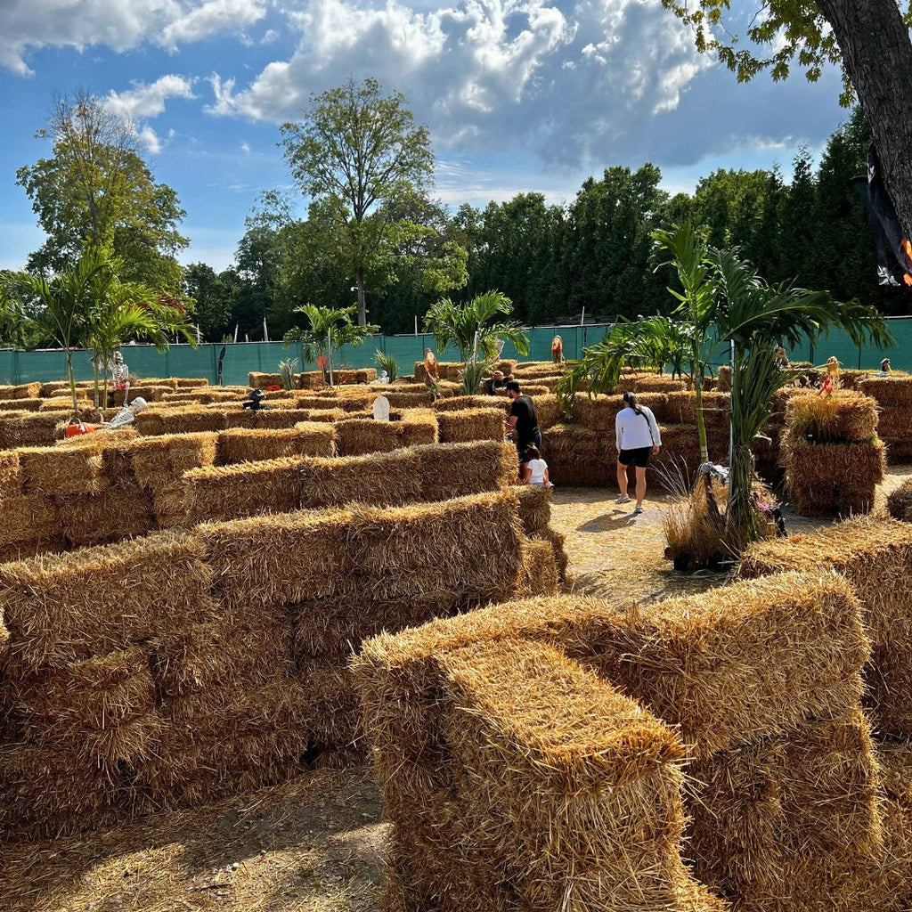 Experience family fun with a Hay Maze Ticket from Pick-Up Only. Explore an outdoor maze built from stacked hay bales, surrounded by greenery and under a blue sky for the perfect sunny day adventure.