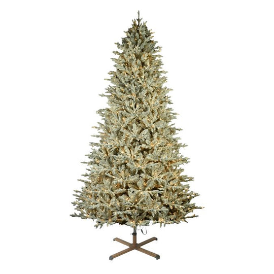 Nordic Flocked Fir Multi-Function Lights 9 Ft.