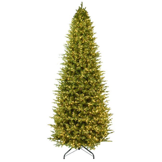 Rocky Mountain Fir Multi-Function Lights 11 Ft. artificial Christmas tree with realistic foliage and many small warm white lights, standing on a black metal base.
