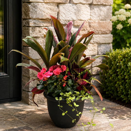 Workshop: Create a Summer Planter | SHADE – REGULAR