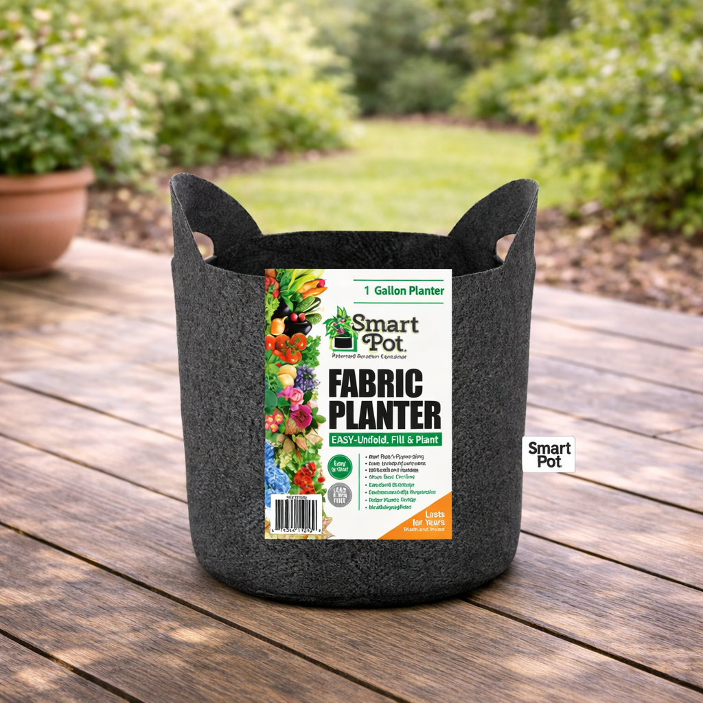 A black 1-gallon Pick-Up & Local Delivery Only Planter - Smart Pot with Handle sits on a wooden surface outdoors, surrounded by greenery and a potted plant in the blurred background.