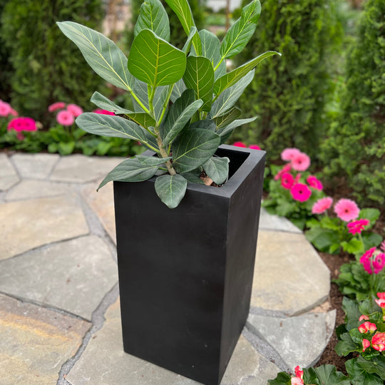 Toulouse Planter - Black - 15-inches x 26-inches