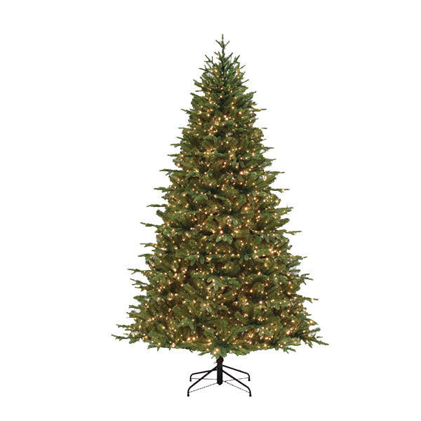 Westbury Fir Warm White LED Lights 7.5 Ft.