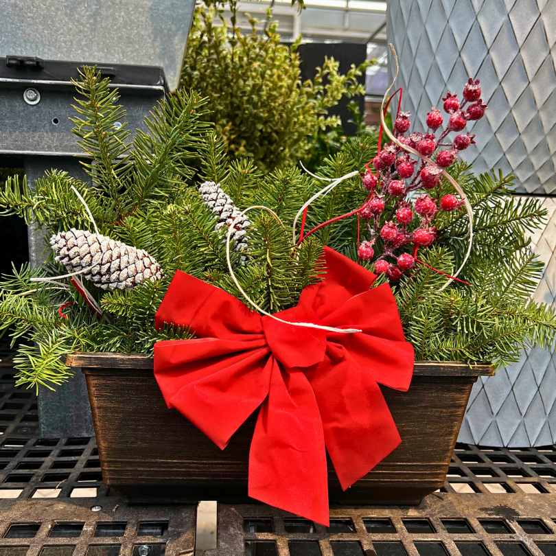 The Window Box - Mixed Greens by Available for Pick-Up & Delivery features fresh holiday greens, pine branches, frosted pinecones, red berries, and a red bow, displayed on a metal grate with plants and a silver container behind.