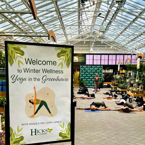 A sign reads Winter Wellness: Yoga in the Greenhouse | Sat., Jan. 31, 2026 by Hicks Nurseries Event as a group practices breathwork and yoga on mats inside a bright, plant-filled greenhouse.