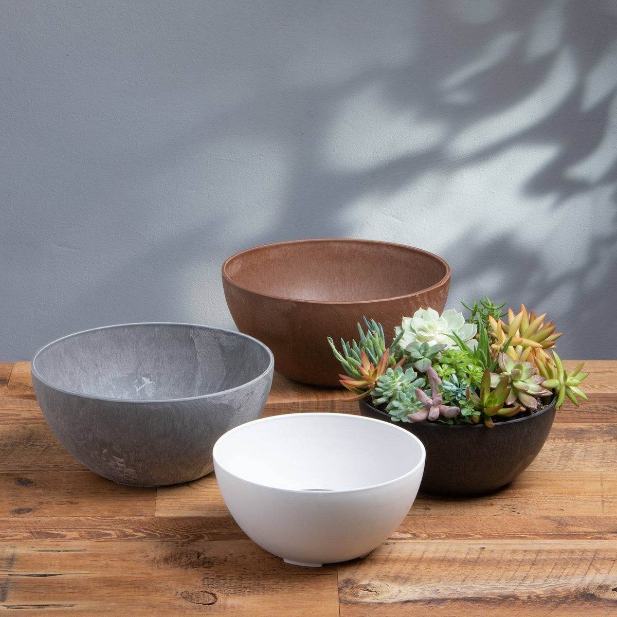 Rust Color Bowl Bowl Planter - Rust - 12-inch