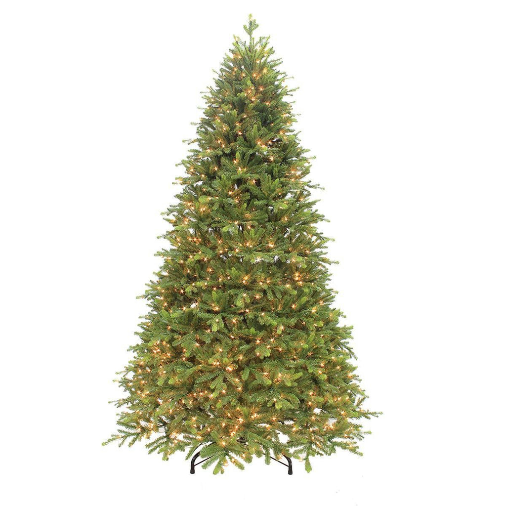 Cranford Fir Warm White LED Lights 12 Ft.