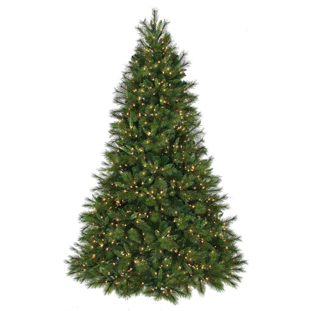 Wyoming Fir Warm White LED Lights 9 Ft.