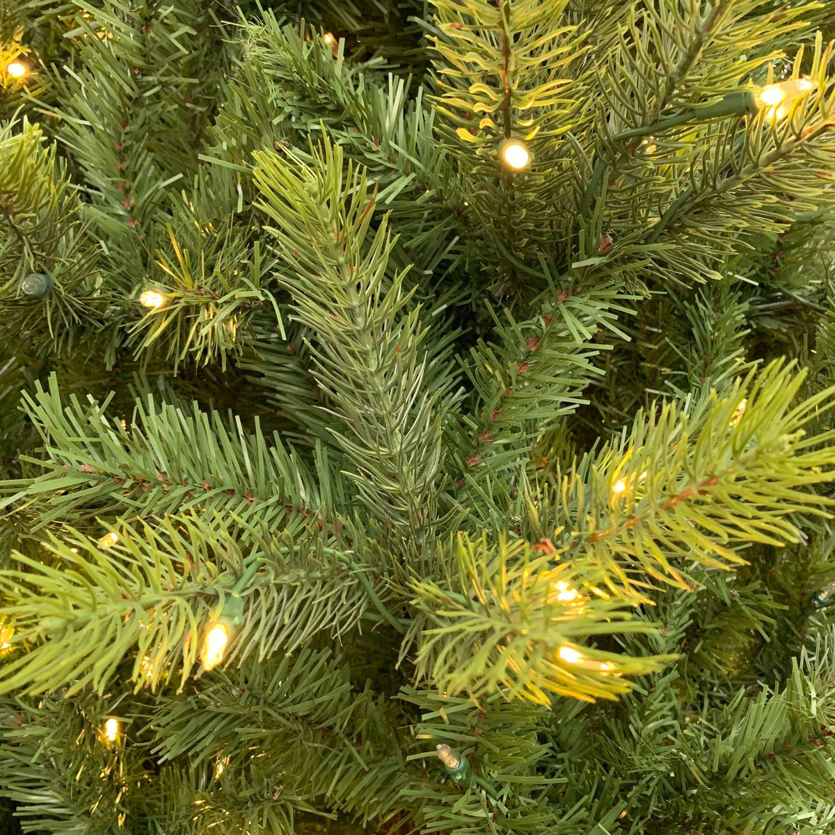 Avalon Multi-Function Lights 9 Ft.