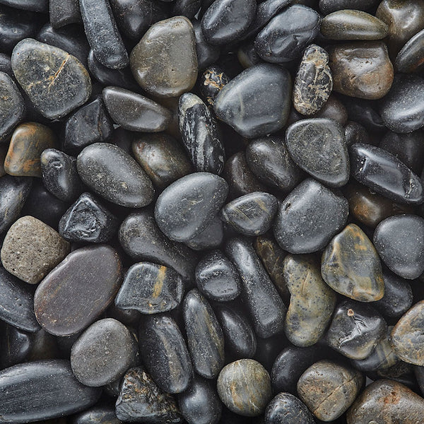 Exotic Pebbles Polished Black Gravel (5.5 lb.) features smooth, dark stones in assorted sizes, perfect for creating a natural, textured landscape surface with stylish decorative accents. Available for Pickup & Delivery.