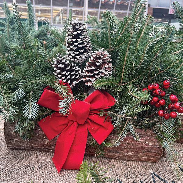 Holiday cedar log filled with fresh cut greens, three pinecones, artificial berries and a red bow.