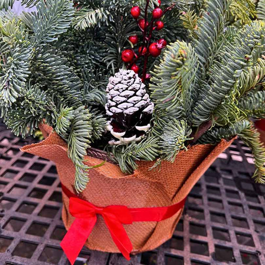 Holiday Burlap Planter - 8-inch