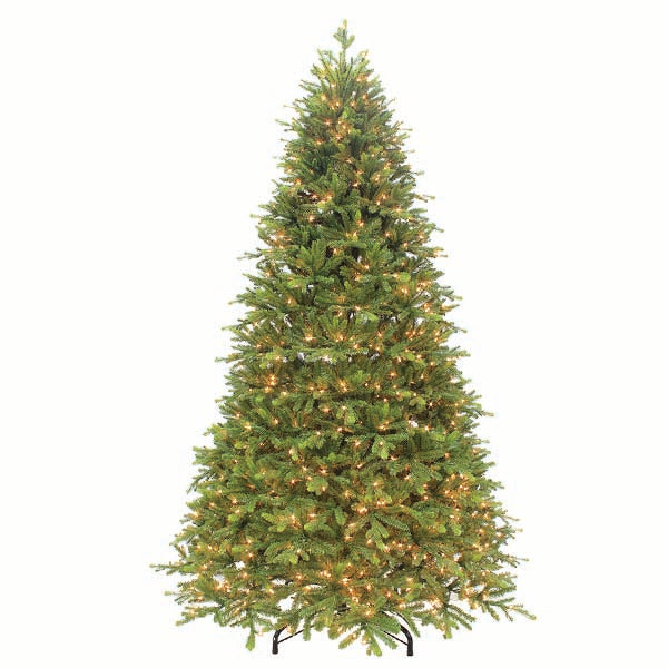 Lenox Fir Warm White LED Lights 9 ft.