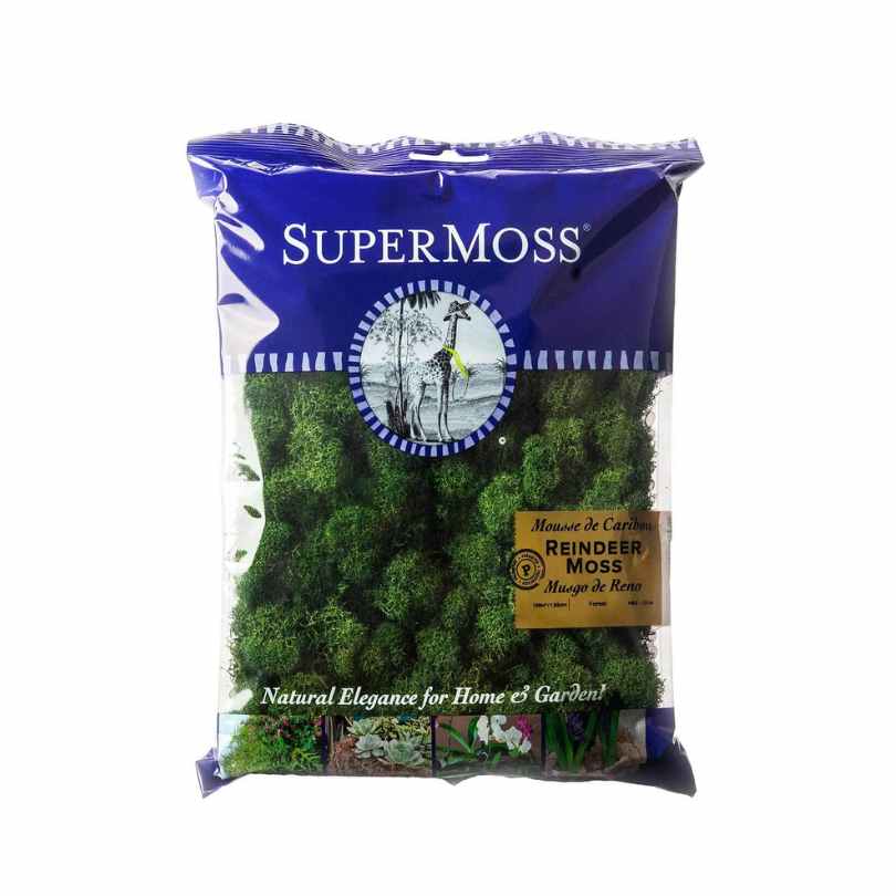 Super Mos SuperMoss® – Reindeer Moss – Forest – 2 oz / 80.75 cu in