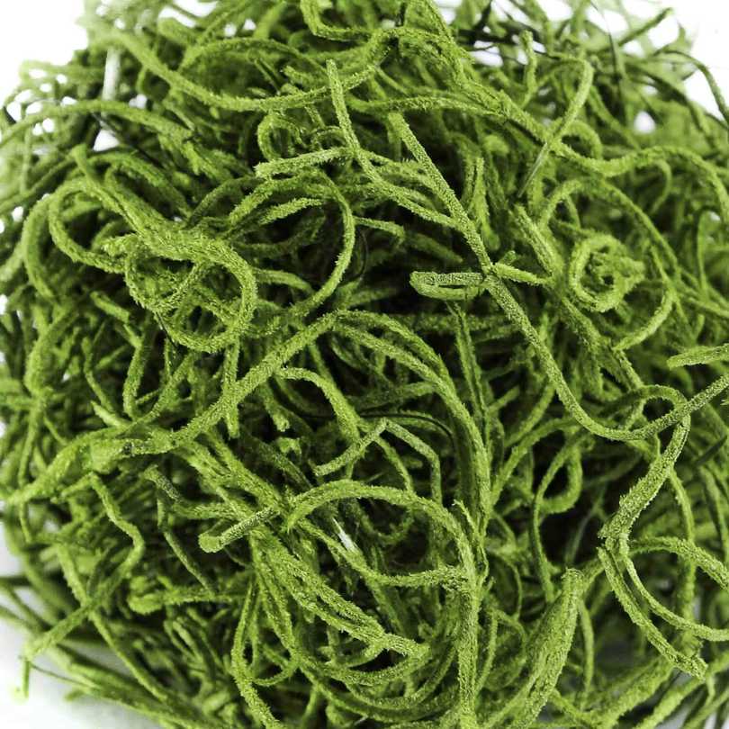 A close-up of SuperMoss® Spanish Moss Grass (2 oz) from Available for Pick-Up & Delivery, featuring loosely tangled green strands resembling decorative moss against a white background.
