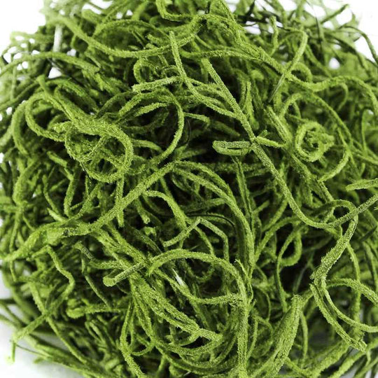 SuperMoss® – Spanish Moss – Grass – 2 oz