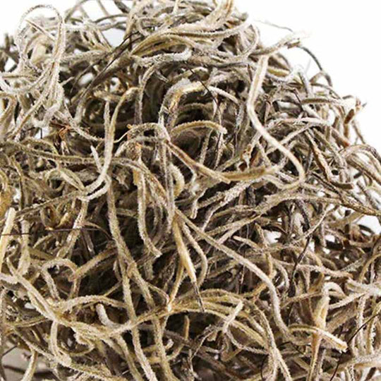 SuperMoss® – Preserved Spanish Moss – Natural – 8 oz