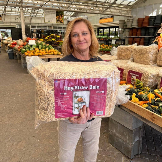 Straw Bale - Wrapped - Mini