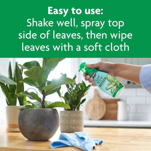 leaf shine wipes for indoor plants Miracle-Gro® - Leaf Shine