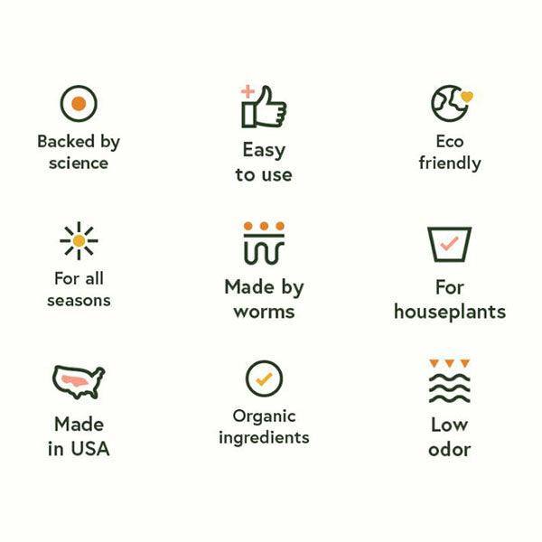 We the Wild - Essential Plant Care Kit - Hicks Nurseries