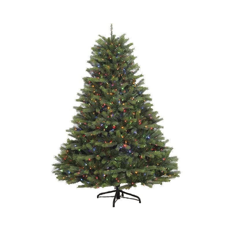 Lenox Fir MultiFunction LED Lights 6.5 ft.