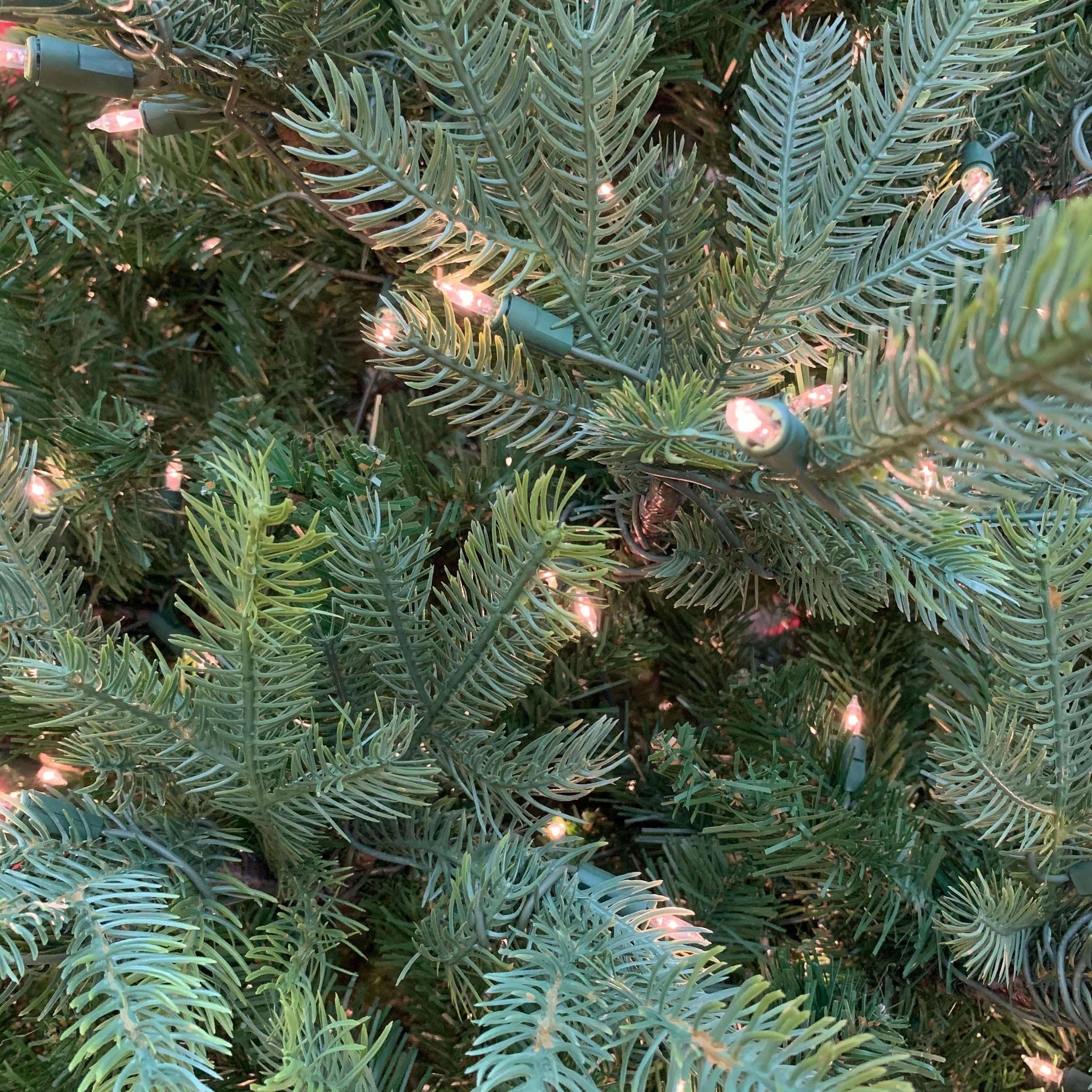 Lifelike Christmas Trees