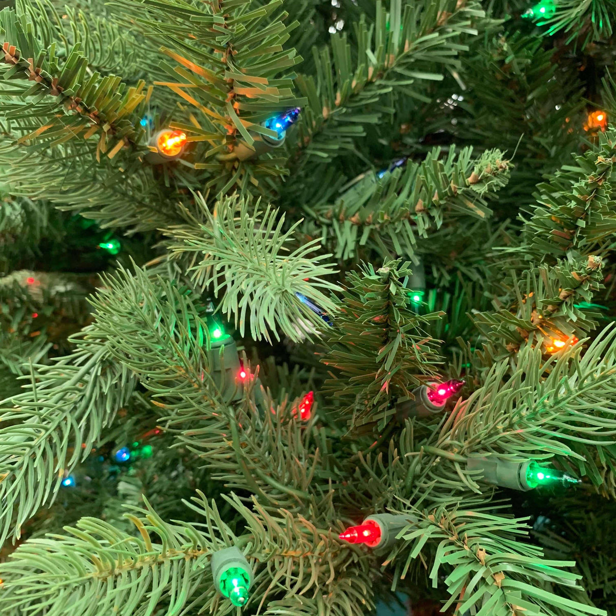 Hamilton Fir MultiColored EZ Plug 6 ft.