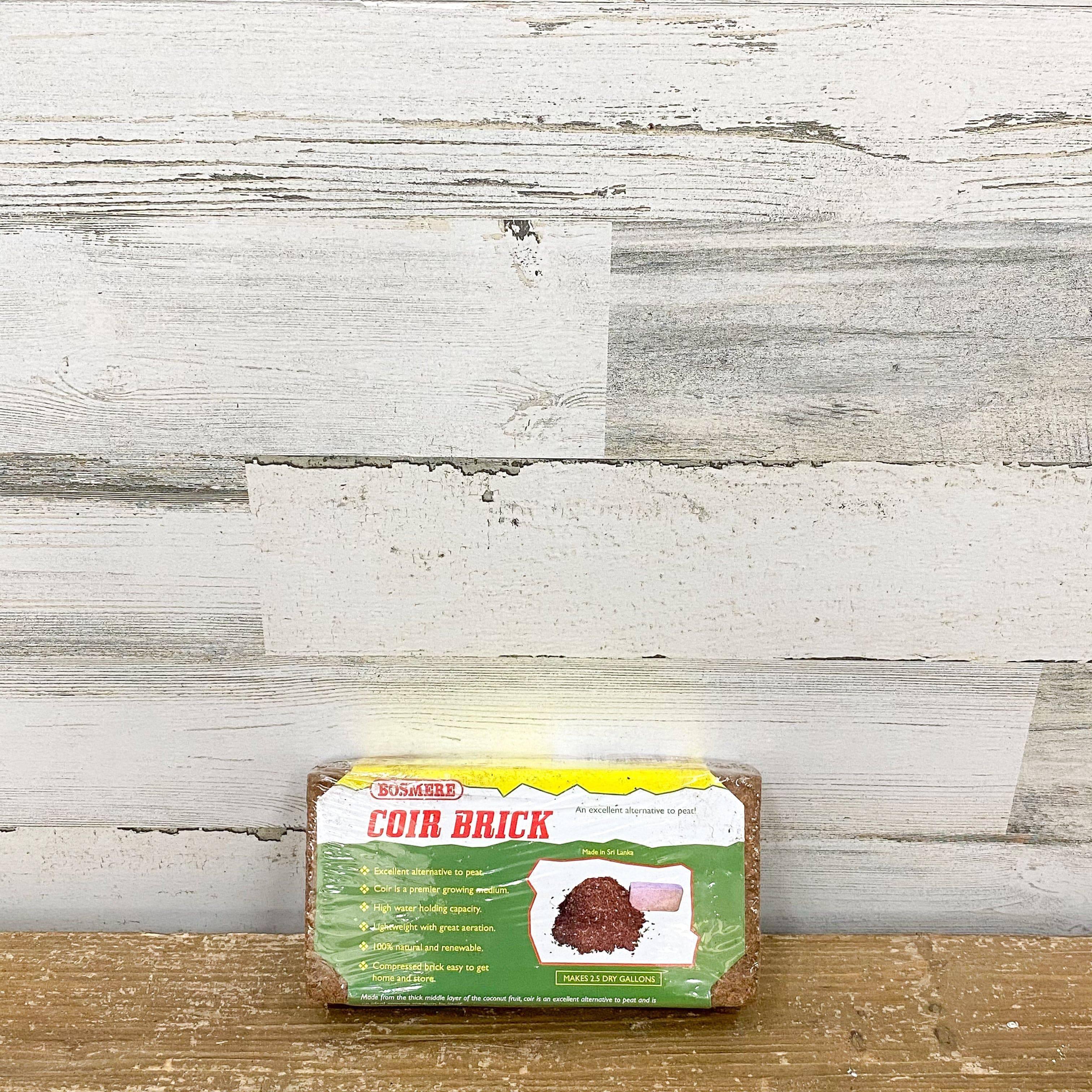 coco Coco_Bliss_650gm_6-Pack_-